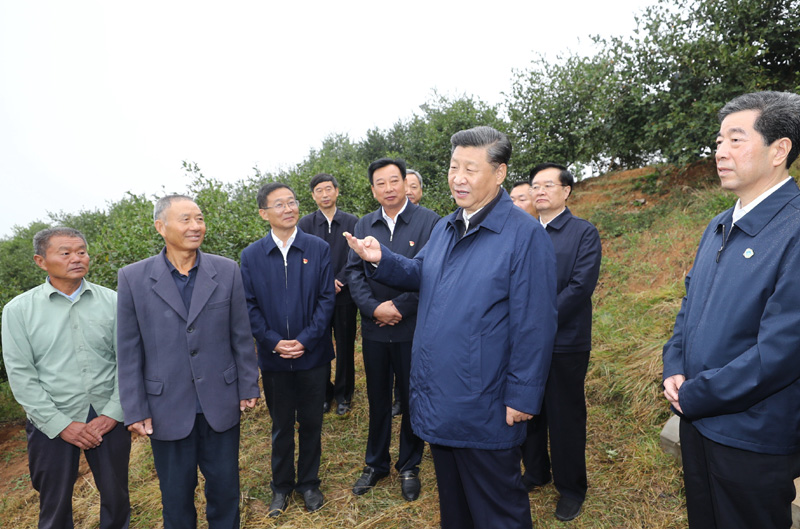 　　9月16日至18日，中共中央總書記、國(guó)家主席、中央軍委主席習(xí)近平在河南考察。這是17日上午，習(xí)近平來到信陽(yáng)市光山縣槐店鄉(xiāng)司馬光油茶園，同正在勞作的村民和管理人員交流。 新華社記者 鞠鵬 攝